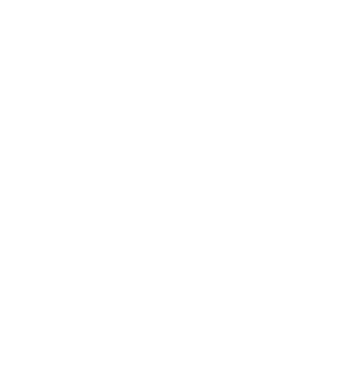 Evolve Then Inc.