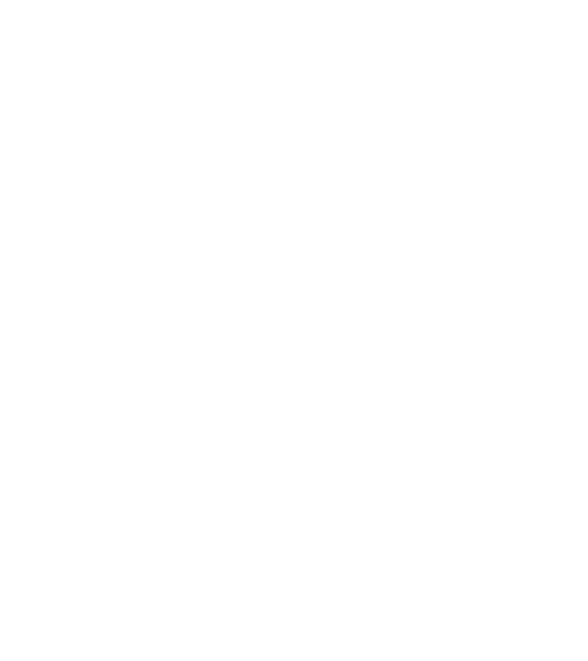 EVOLVE THEN INC